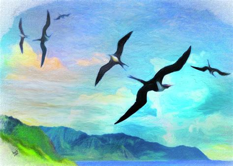 Iwa Birds Digital Art by Patrick J Gallagher - Fine Art America