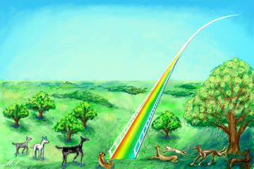 Rainbow Bridge (pets) - Wikipedia