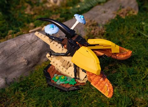 Build LEGO Bugs with 21342 The Insect Collection! - Jay's Brick Blog