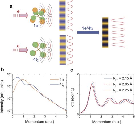 Multi-center interference in electron impact ionization of molecule.... | Download Scientific ...