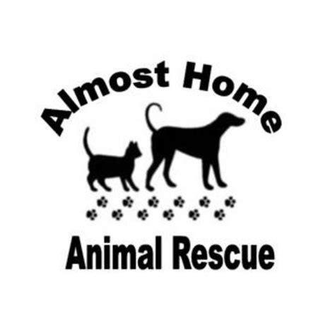 Almost Home Dog Rescue Moira | capital chair hireu