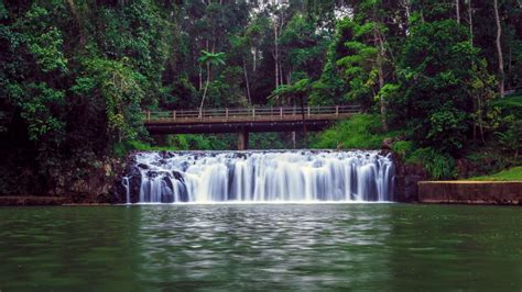 Best Waterfalls On The Atherton Tablelands | Cairns & Great Barrier Reef