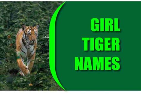 120 Girl Tiger Names: The Ultimate Guide To Naming Your Feline Friend