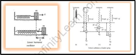 Oscillation of Spring: Horizontal & Vertical Spring Oscillation | IL