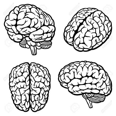 brain outline clipart black and white forward 20 free Cliparts | Download images on Clipground 2024