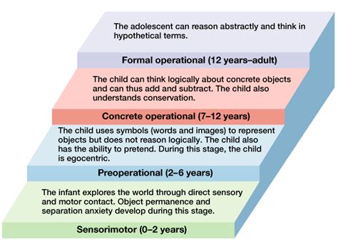 Piaget's Stages of Cognitive Development - Piaget's theory of cognitive ...