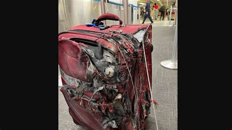 Passenger's highly damaged luggage after a flight shocks netizens | Trending - Hindustan Times