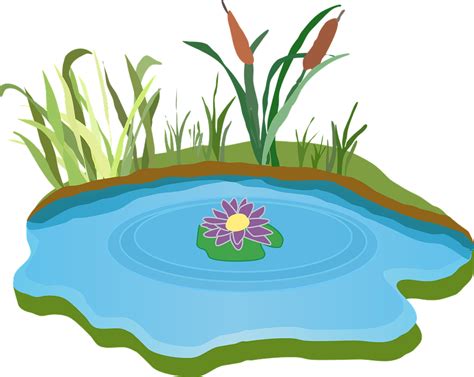 Download Pond, Water, Outdoor. Royalty-Free Vector Graphic - Pixabay