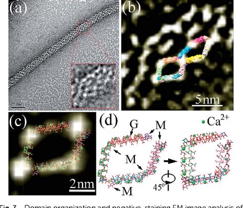 Figure 3 from structure of alginate and its conformation evolvement ...