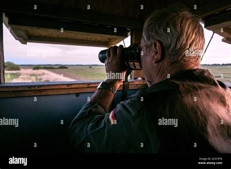 Hunter on a high seat Stock Photo - Alamy