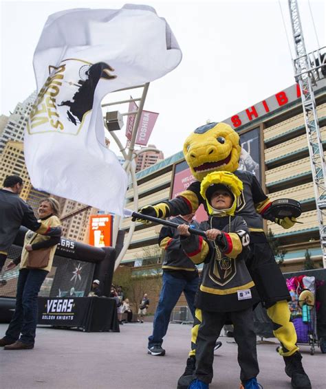 Man inside Golden Knights’ mascot Chance loves his job | Golden knights ...