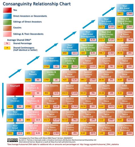 Consanguinity relationship chart - How much DNA do you share with your ...