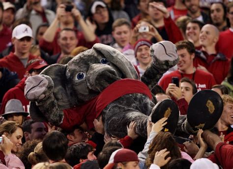 Alabama Crimson Tide Mascot Big Al Celebrating His 40th Anniversary