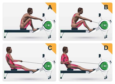 How Does Rowing Work Your Abs - Start Rowing