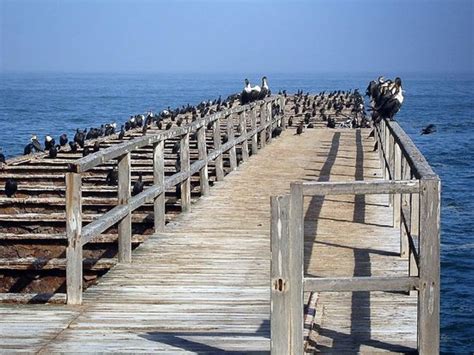 Swakopmund Jetty - All You Need to Know Before You Go - TripAdvisor