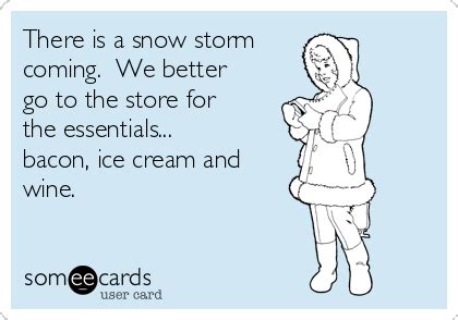 Funny Snow Storm Quotes - ShortQuotes.cc