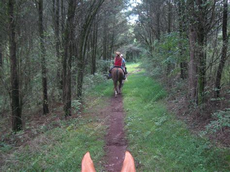 Green Lane Park - Trail Rider's Path