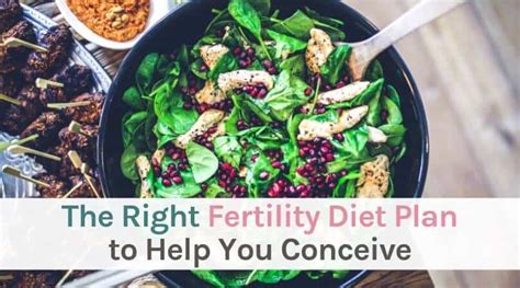 Creating A Fertility Diet Plan to Help You Conceive