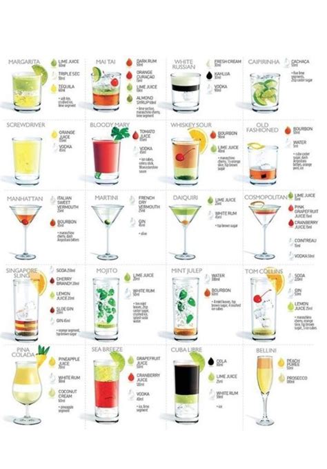 The Art of Mixology: Classic Cocktails and Curious Concoctions ...