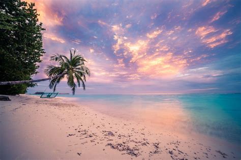 Pink Beach Sunset Wallpapers 4k Hd Pink Beach Sunset - vrogue.co