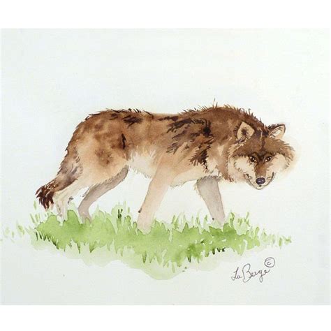 Coyote Art Painting Original Watercolor Kids Women by LaBerge | Life art, Art, Original watercolors