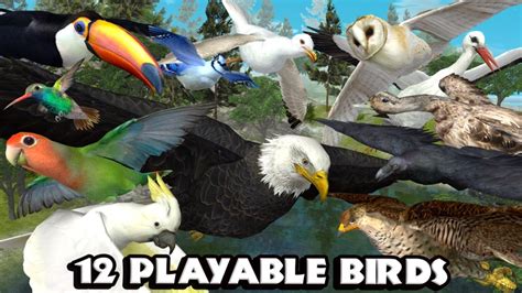 Ultimate Bird Simulator by Gluten Free Games