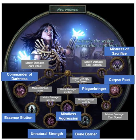 PoE Necromancer Ascendancy 3.15 Changes