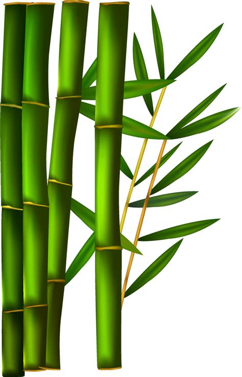 Folhas De Bambu Png Folha De Pintura Chinesa De Bambu Cris 226 Ntemo - Riset