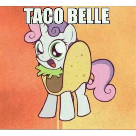 Puns - taco - Funny Puns - Pun Pictures - Cheezburger