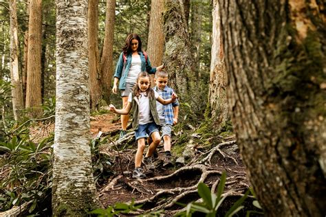 7 Outdoor Activities & Adventures for Kids Right in Your Own Backyard ...