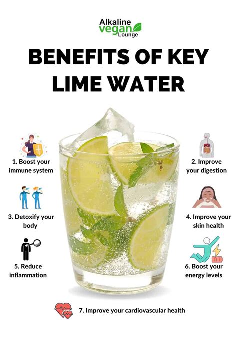 What is Key Lime Water? - Alkaline Vegan Lounge