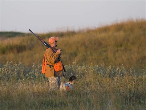 Quail Hunting in Michigan | Michigan Bird Hunting