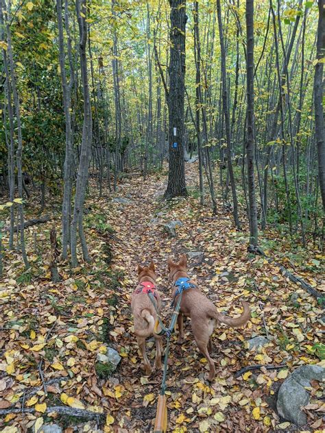 West Mountain Loop Trail - New York | AllTrails