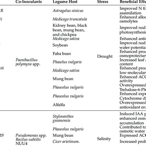 Symbiotic rhizobia that confer environmental stress tolerance to legumes. | Download Scientific ...