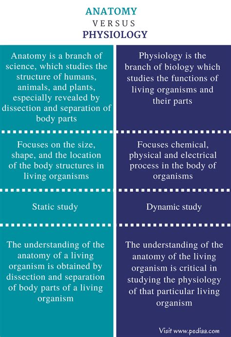 Difference Between Anatomy and Physiology | Definition, Classification ...