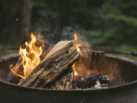 5 Irresistible Fall Campfire Essentials - Our Days Outside