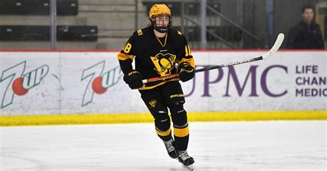 Pittsburgh Native Logan Cooley Named To USA Hockey National Team Development Program - CBS ...