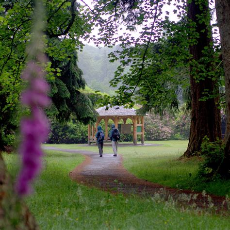 GARDENS - Scone Palace person walking through gardens gallery