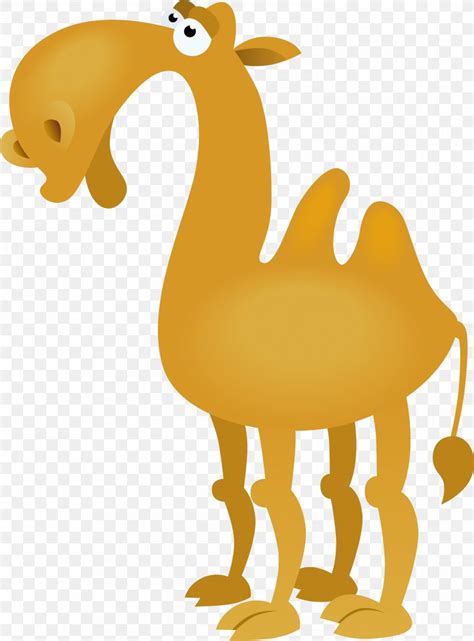 Bactrian Camel Cartoon Drawing Clip Art, PNG, 2142x2899px, Bactrian Camel, Beak, Bird, Black And ...