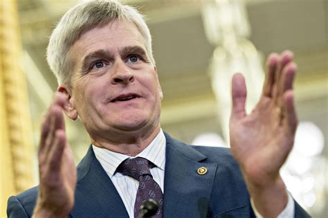 Republican Sen. Bill Cassidy says he thinks an immigration deal will get done by Feb. 8