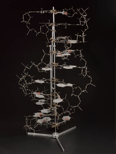 Why The Double Helix is still relevant - Science Museum Blog