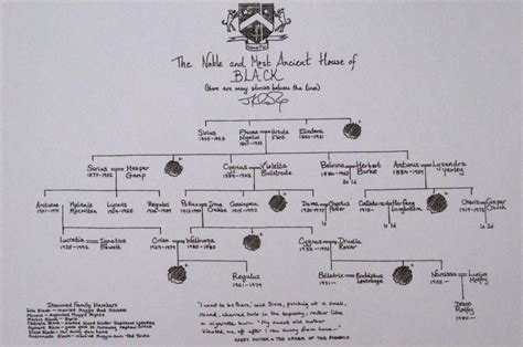 black family tree harry potter - Clarissa Wahl