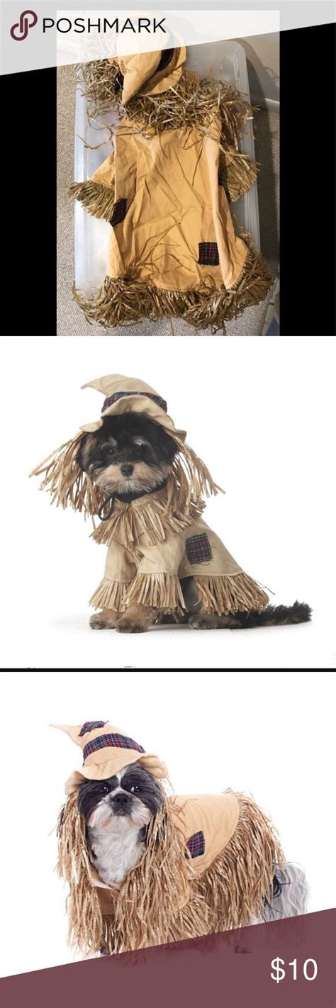 Adorable scarecrow dog costume! Size M | Dog costume, Adorable, Model photos