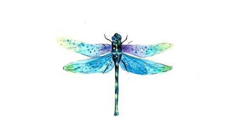 Watercolor Dragonfly: Easy and Fun Watercolor Project | Irina Trzaskos | Skillshare