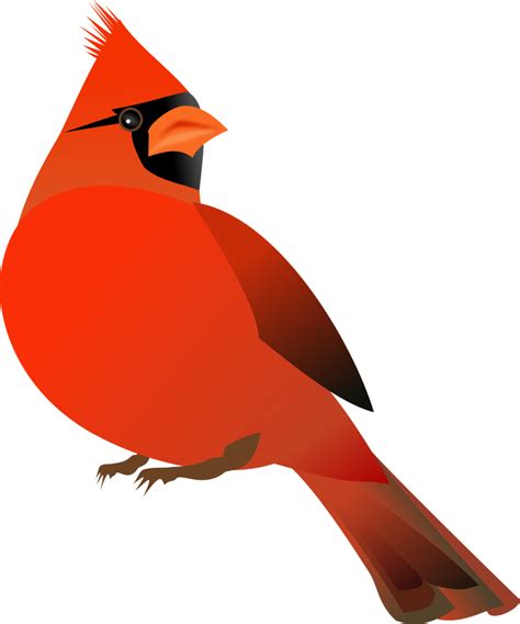 Public Domain Clip Art Image | Red Cardinal | ID: 13951444822522 ...