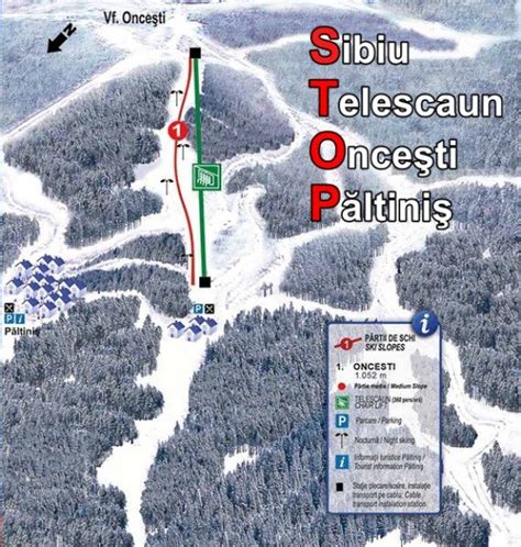 Skigebiet Paltinis • Skiurlaub • Skifahren • Testberichte