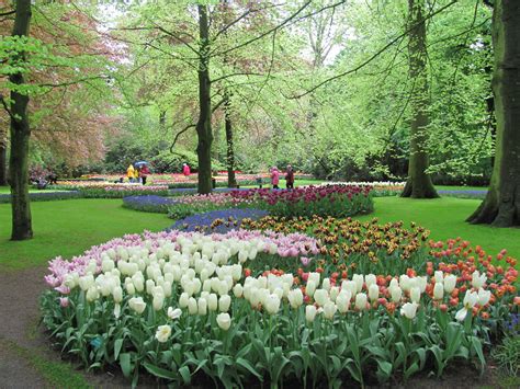 bedesisters: Spring Flowers in Holland