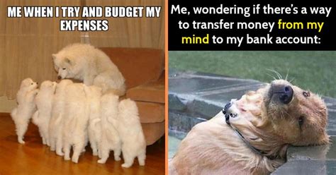 30 Dog Memes You'll Laugh At if You're Currently Trying to Save Money - Animal Comedy - Animal ...