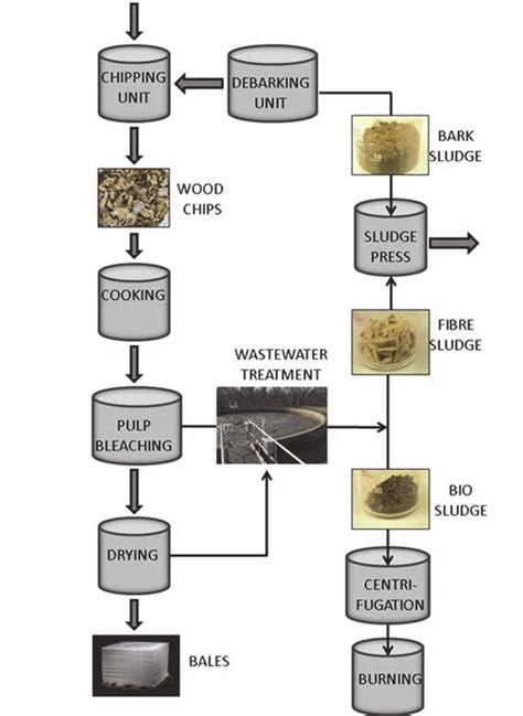 Process flow sheet at the pulp mill (paper IV). | Download Scientific ...