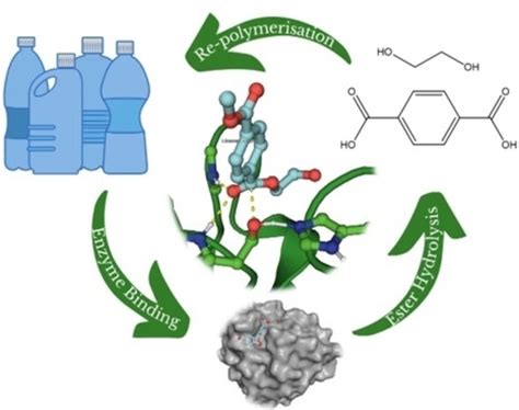 Computational Insights into the Catalytic Mechanism of Is‐PETase: An Enzyme Capable of Degrading ...